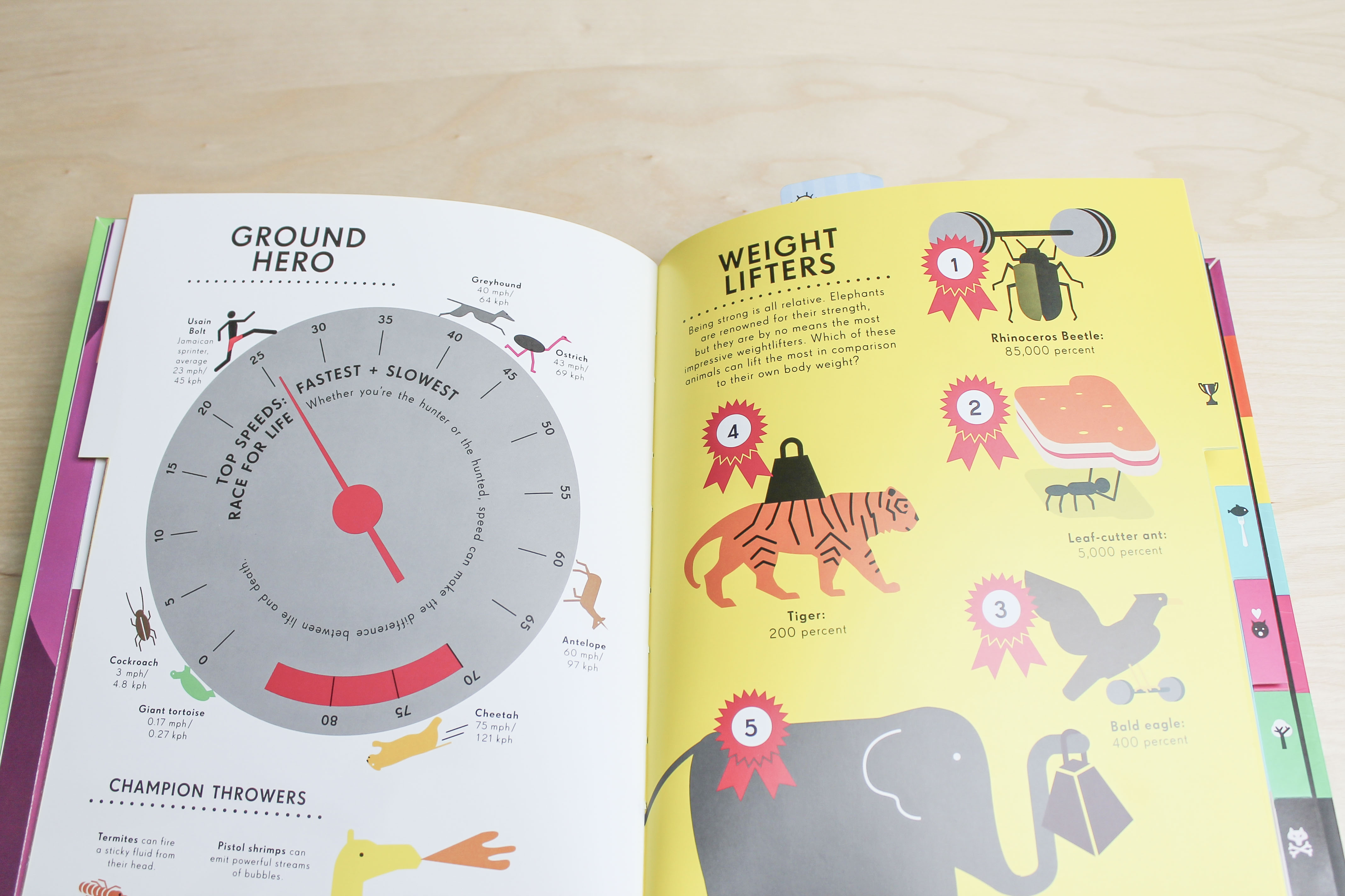 Interior picture of infographic book on animals
